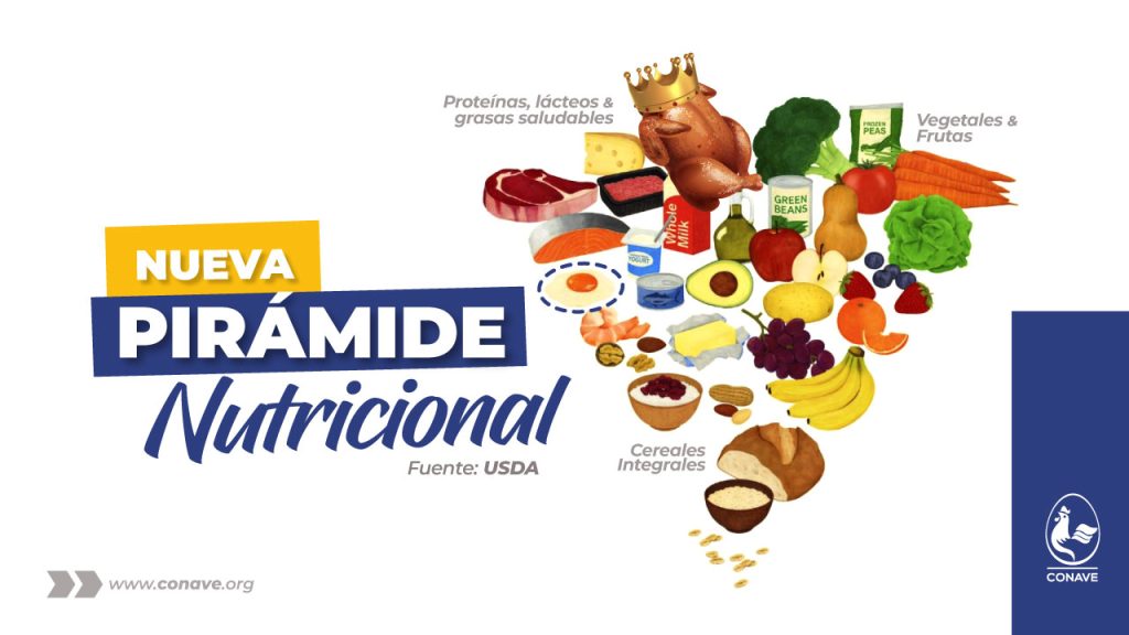 Pollo y huevo fundamentales en la nueva piramide nutricional CONAVE