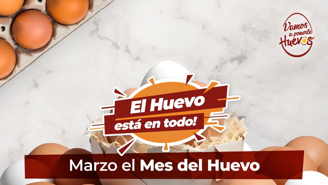El Día Nacional del Huevo 2026 con la campaña #ElHuevoEstaEnTodo - CONAVE